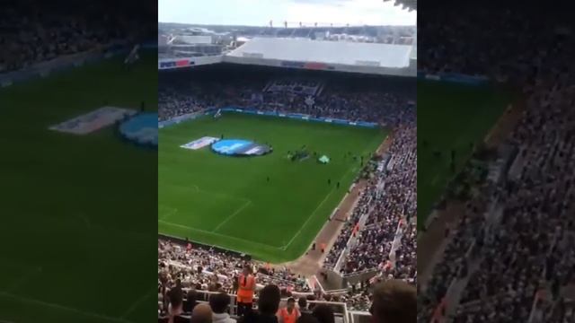 Toon Toon Barmy Army смотреть онлайн