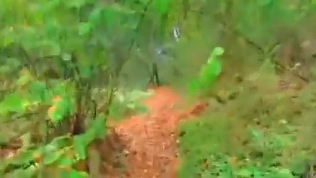 Island of the Mushroom People - Cubensis Man смотреть онлайн