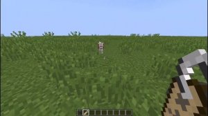 «?» Как использовать бирку в Minecraft