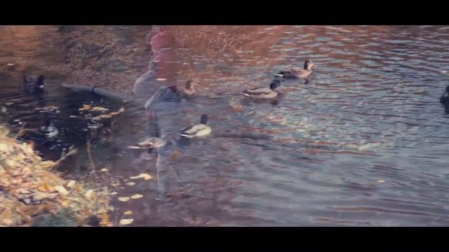 Осенняя прогулка в Лефортовском парке смотреть онлайн