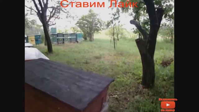 СЕЗОН 2016 ЗА 10 минут смотреть онлайн