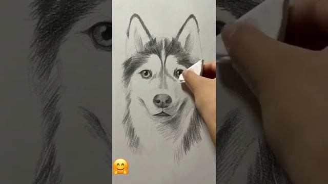 It rasmini chizish смотреть онлайн