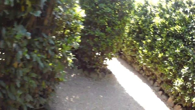 4K. Ходим по зелёному лабиринту. 1 ч - Похождения по Никитскому ботаническому саду. 11 июня 2016 г. смотреть онлайн