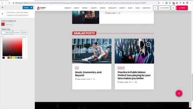 How to customize captions and separators [Pro.Radio WordPress Theme tutorials] смотреть онлайн