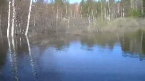 Тест лодочного мотора из дейдвуда + двигатель от триммера