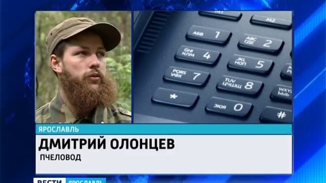 Пчелиный рой напал на иномарку в Ярославле смотреть онлайн