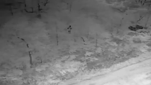 You can run but you can't hide смотреть онлайн