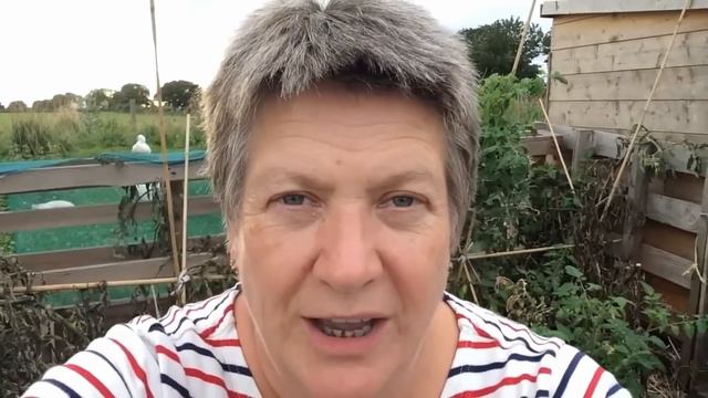 Epic 50-Day Harvest Challenge | Feeding Your Family from the Garden смотреть онлайн