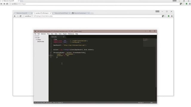 How to Work with E.164 Formatted International Phone Numbers смотреть онлайн
