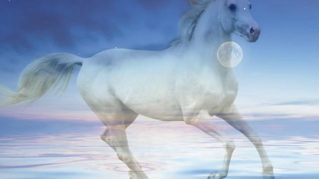 Relaxing Sleep Music, Classical Sleep Music, Deep Sleep Music, Insomnia, Sleeping Music, ♫E061