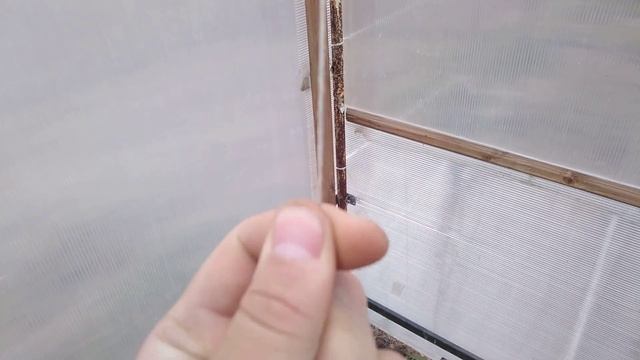 Подвязка помидор в теплице с котиком смотреть онлайн