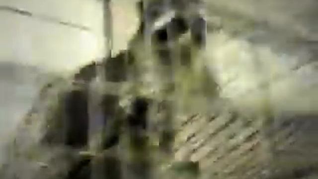 Енот-паркурист! смотреть онлайн