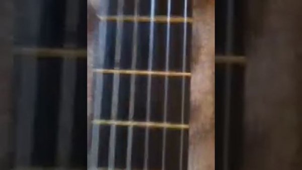 Обзор на 6-струнную гитару Maxtone