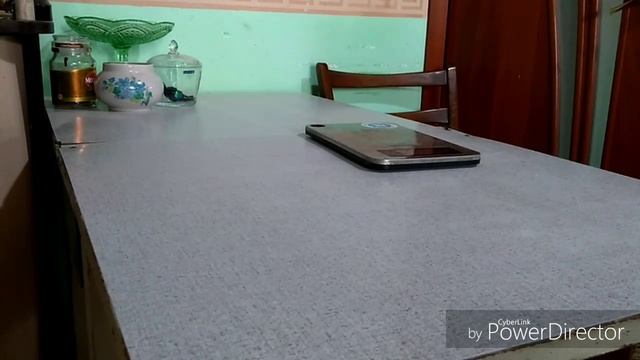 Цыплята породы билефельдер и брессгальская смотреть онлайн