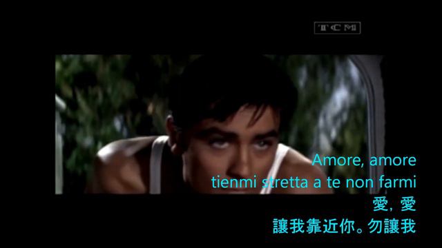 Alain Delon - Forget Domani (Alain+Katyna Ranieri) With Lyrics