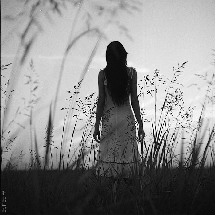 Песня «Катюша» смотреть онлайн