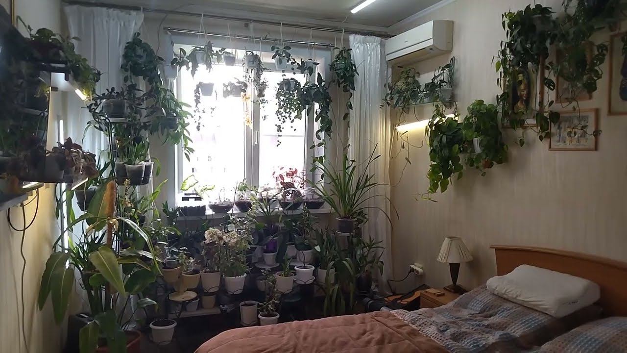 Полный раскардаш во спасение растений. смотреть онлайн