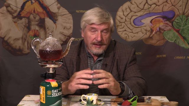 Изучение мозга собак смотреть онлайн