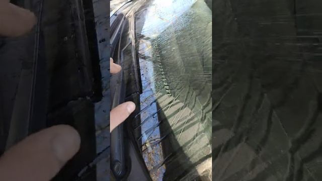 Кошки лезут на машину? Больше не будут. смотреть онлайн