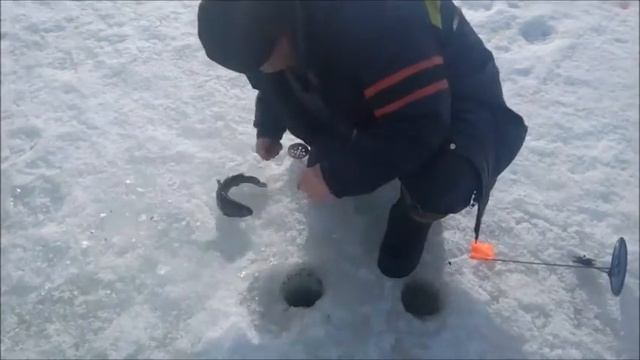 Рыбалка на Спортзоне в Савельево на Ленинградке.13.03.17г смотреть онлайн