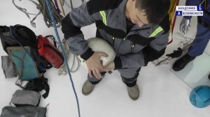 Занятие №5  СИЗ для работы на высоте.