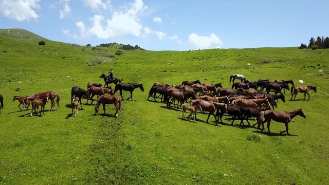О чём нам говорит Шестой Оценочный доклад МГЭИК об изменении климата?