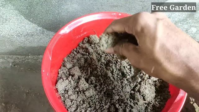 Unique Skill How To Grow Banana Tree From Banana Leaves || Trees Made From Bananas