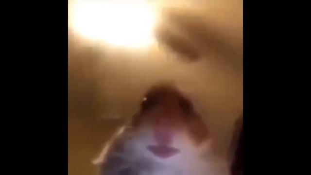 мишааааааааааааа смотреть онлайн