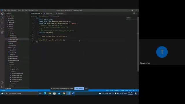 Wordpress - functions.php, file/directory theme смотреть онлайн