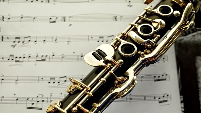 Pachelbel´s Canon Woodwind Quartet-Flute Oboe Clarinet and Bassoon смотреть онлайн