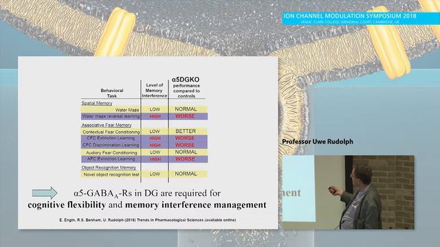 Talk by Professor Uwe Rudolph смотреть онлайн