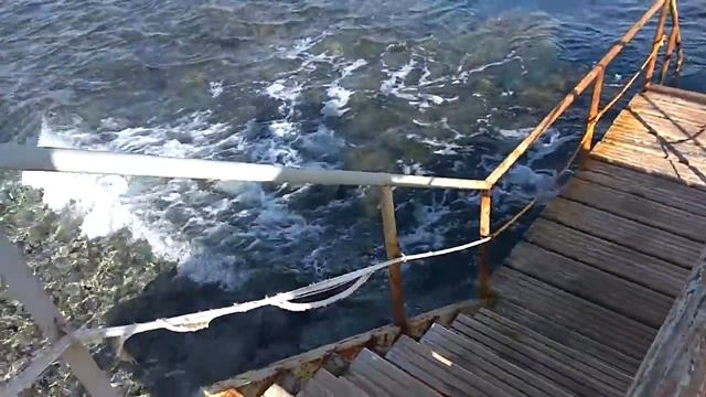 Пляж Пальма (Palm Beach) и Красное море Шарма смотреть онлайн
