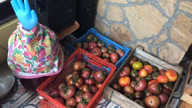 Огород на даче / как сэкономить на продуктах смотреть онлайн