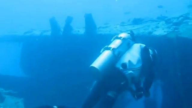 Immersione al Thistlegorm con Canon G9 2 parte смотреть онлайн