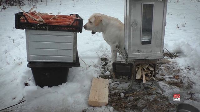 Складная походная коптильня Winnerwell® Fastfold Smoker Large / ДЫМ-ДЫМ МЯСО КОПТИМ ЗИМОЙ В ЛЕСУ смотреть онлайн