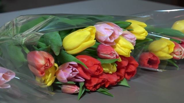 Букет из 3, 5 или 15 тюльпанов смотреть онлайн
