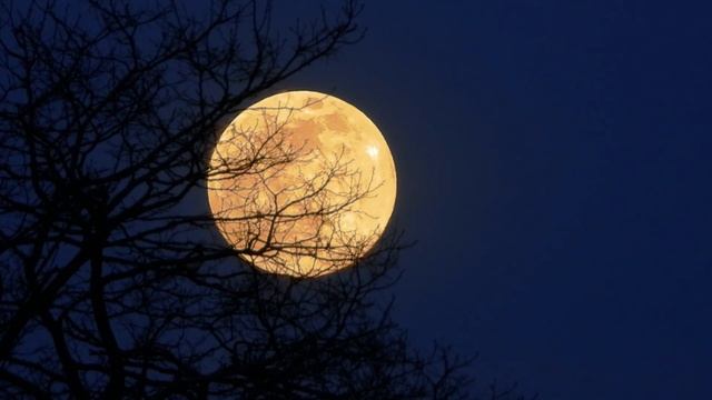 nikon p1000. supermoon timelapse. 07-04-2020 смотреть онлайн