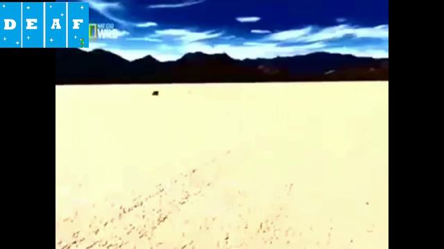 Crawling stone?/Ползающий камень? смотреть онлайн