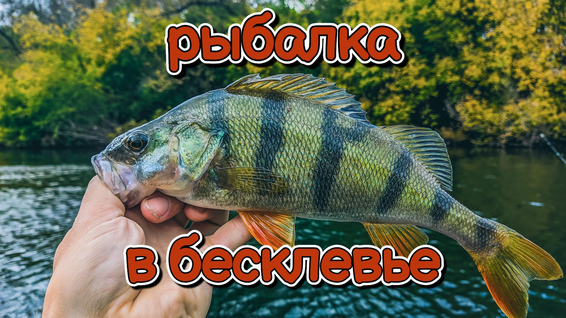 Ловлю щуку и окуня в бесклевье | Одна приманка снова спасла рыбалку | Со спиннингом на Дону смотреть онлайн