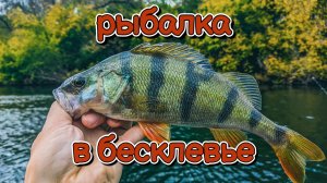 Ловлю щуку и окуня в бесклевье | Одна приманка снова спасла рыбалку | Со спиннингом на Дону