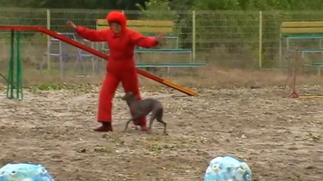 Харахурсах Лена и Ежа смотреть онлайн