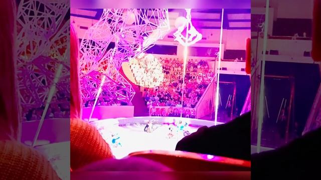 Московский цирк 2023 года посвящённый со дня рождения столетия Никуллина смотреть онлайн