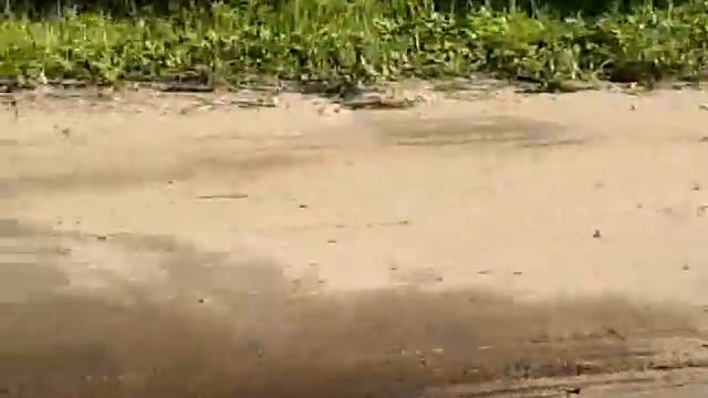 Обнаглевшие Тверские водители. смотреть онлайн