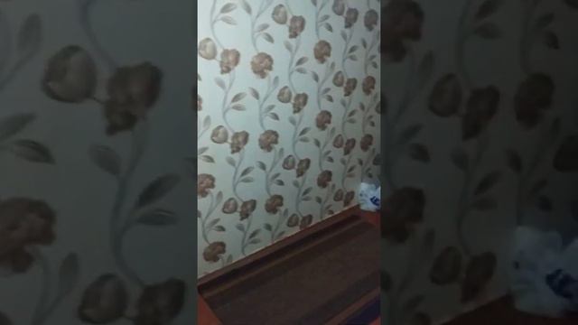 Путешествия на море: мир приключеской истории.