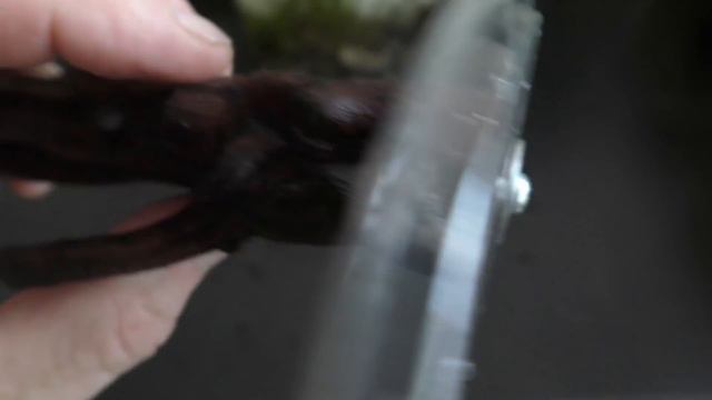 Aquarium Garden DIY смотреть онлайн