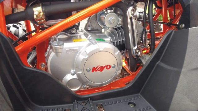 First Look! 2021 Kayo Predator 125 Sport Quad | Review and Detailed Breakdown смотреть онлайн