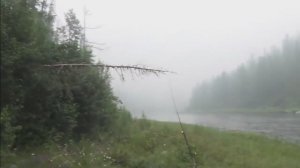 43 серия Пепел и Зола от Мозолей и укусов клещей Потертостей Тайга река Лендаха Рыбалка