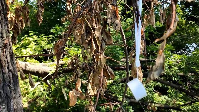 ОБЗОР Колонки Xiaomi MDZZBDE vs JBL GO 2 vs Xiaomi mi speaker ⚡️ ? смотреть онлайн