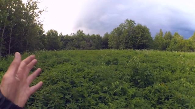 Бюджетный забор из сетки  #1  // Подготовка // Жизнь в деревне