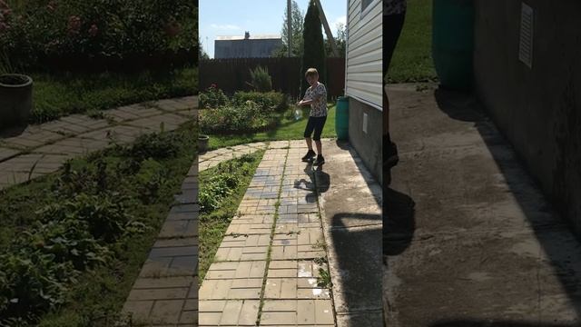 Тюлени морские смотреть онлайн